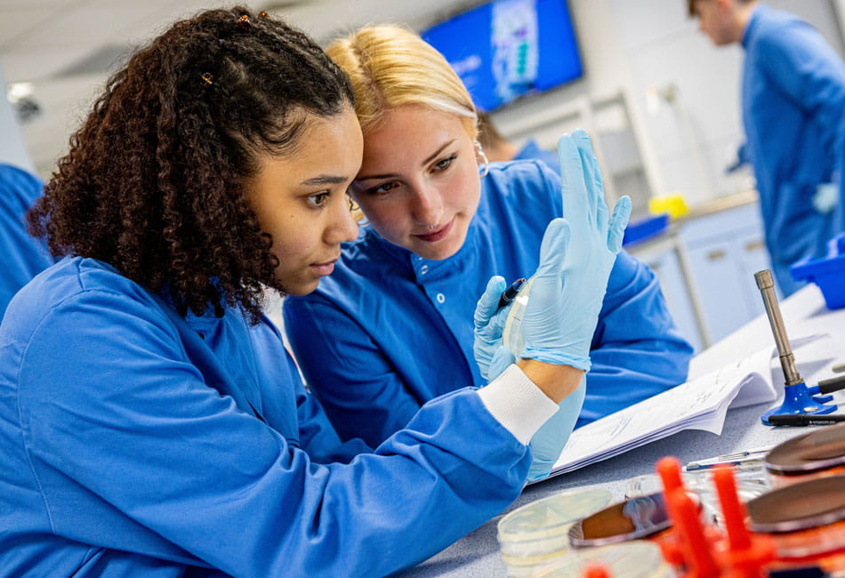 Testing leaves in a laboratory.