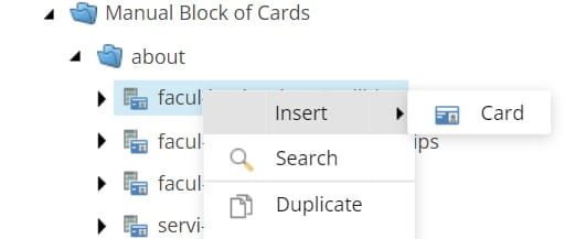Screenshot of Content Editor and Manual Block of Cards.