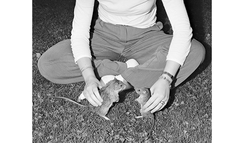 A person sat cross legged on grass holding a taxidermy rat in each hand